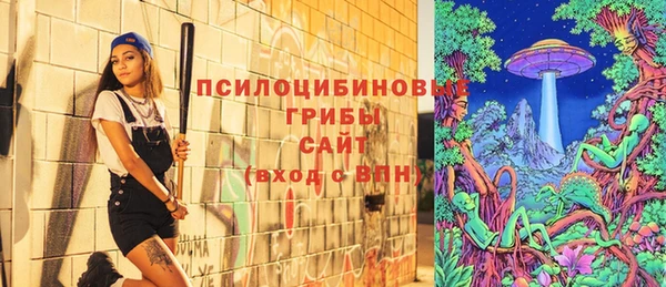 прущий лед Алексеевка