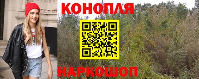 крисы Ипатово