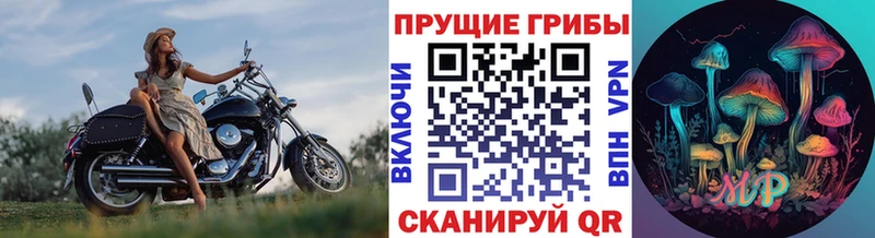 купить   гидра онион  Галлюциногенные грибы Cubensis  Верхняя Салда 