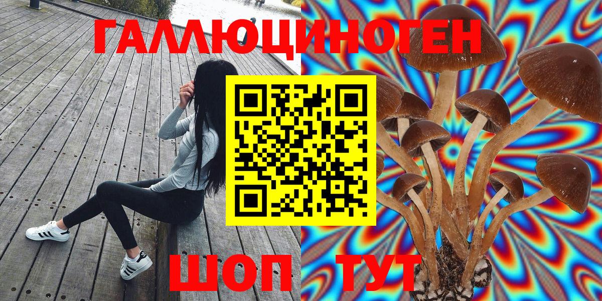 Галлюциногенные грибы Cubensis Верхняя Салда