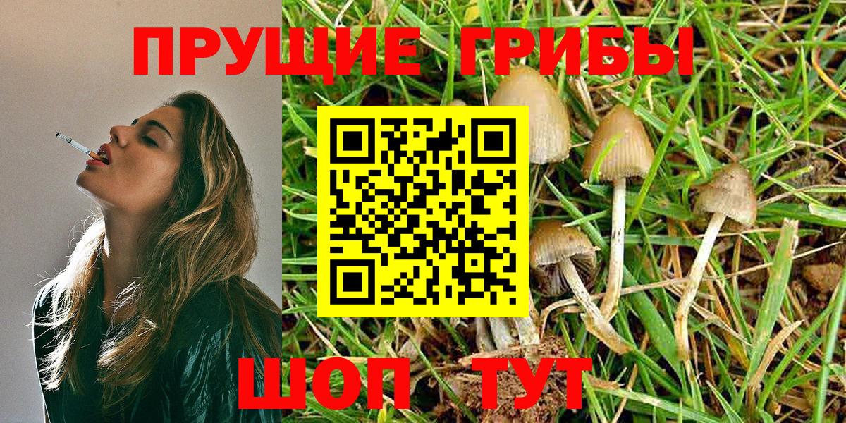 Галлюциногенные грибы MAGIC MUSHROOMS  Вход с VPN  наркотики  Верхняя Салда 
